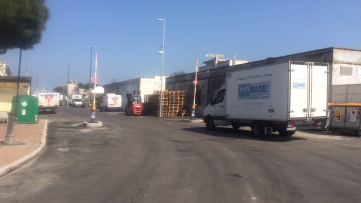 Ordinanza per decoro e pulizia dell'area portuale di Cesenatico