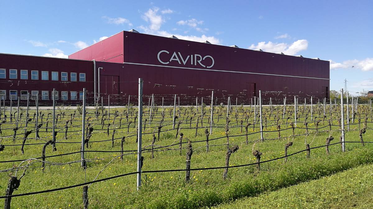 Per il gruppo Caviro, fatturato di 330milioni di euro nel 2018