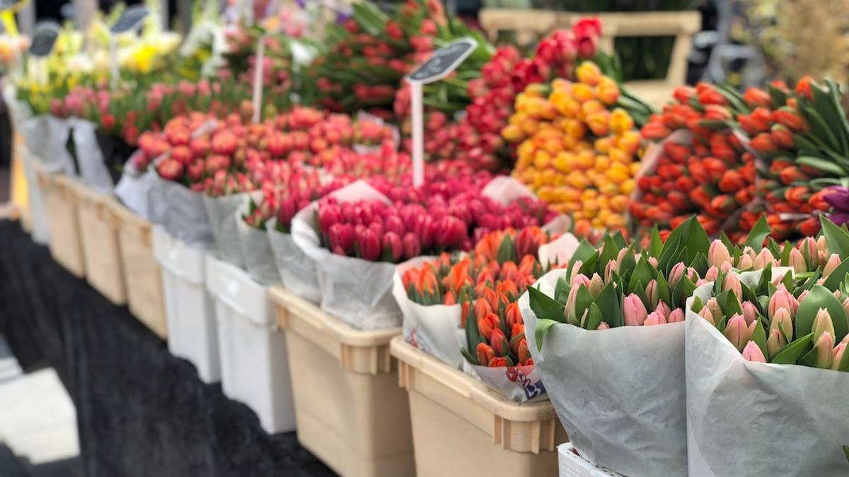 Forlimpopoli, da venerdì 12 maggio quattro giorni di mercatini dedicati ai fiori