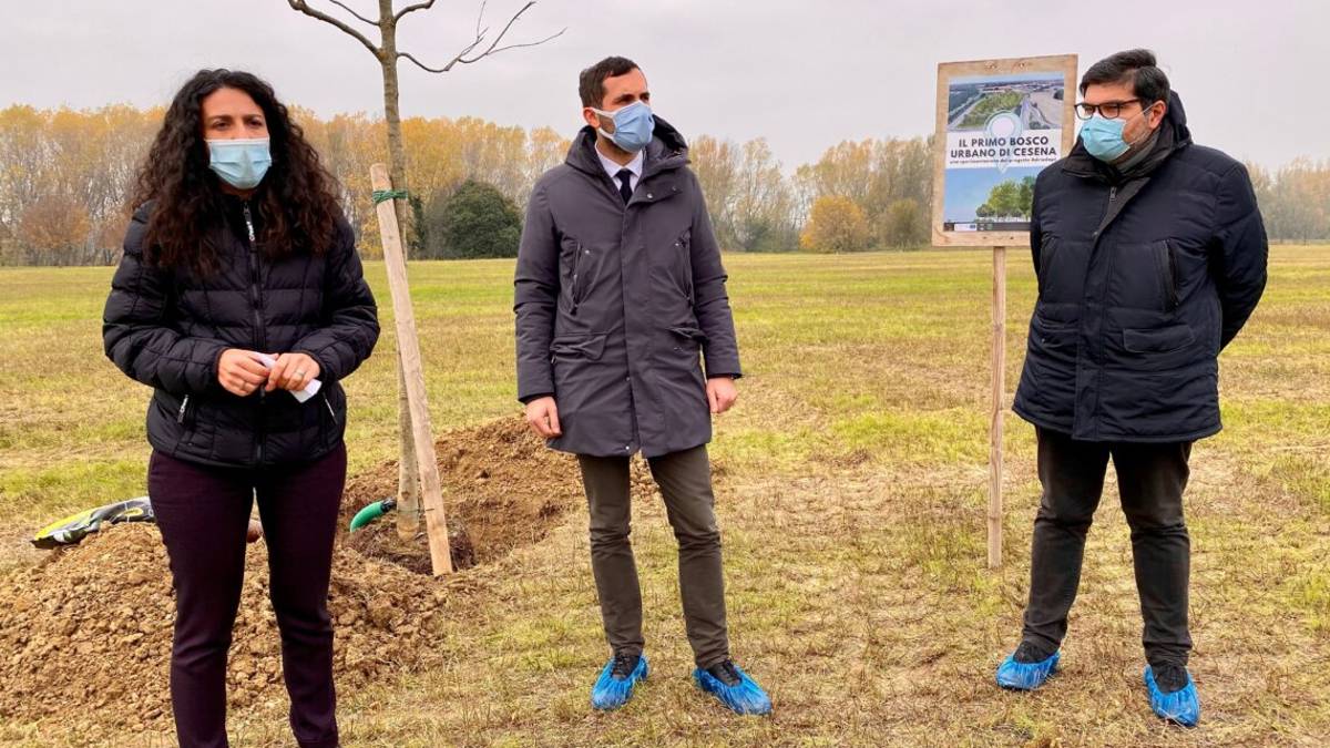 Cesena nella rete mondiale delle città più verdi