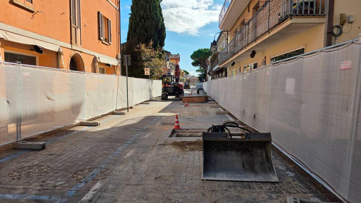 Riccione, i sedici ulivi di Corso Cervi traslocano nel cortile delle scuole Volta-Fellini e Savioli