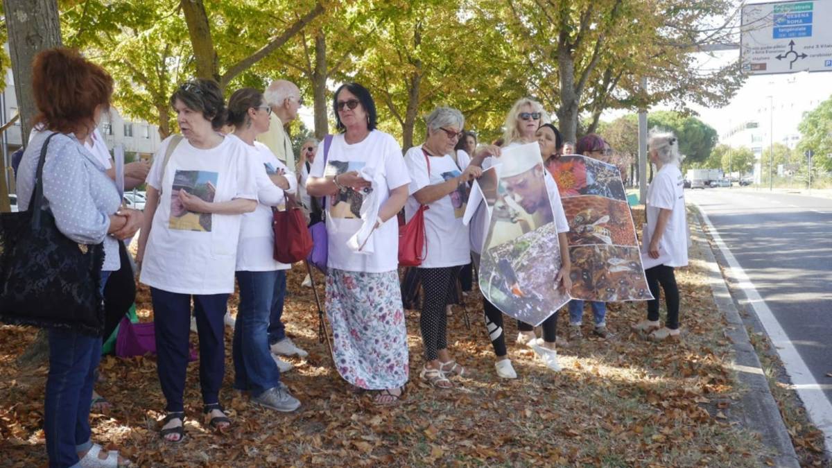 Ravenna, processo al dottor Guerra: presenti una quarantina di sostenitori del veterinario - Gallery