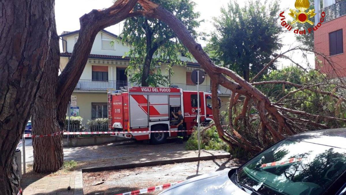 Ravenna, persone intrappolate in una casetta del campeggio dopo la caduta di un pino