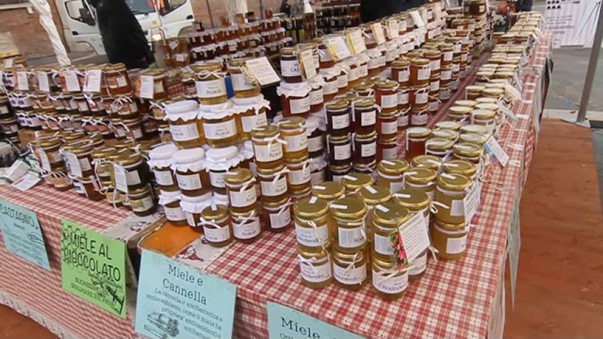 Art & Ciocc: un dolce week-end a Ravenna VIDEO