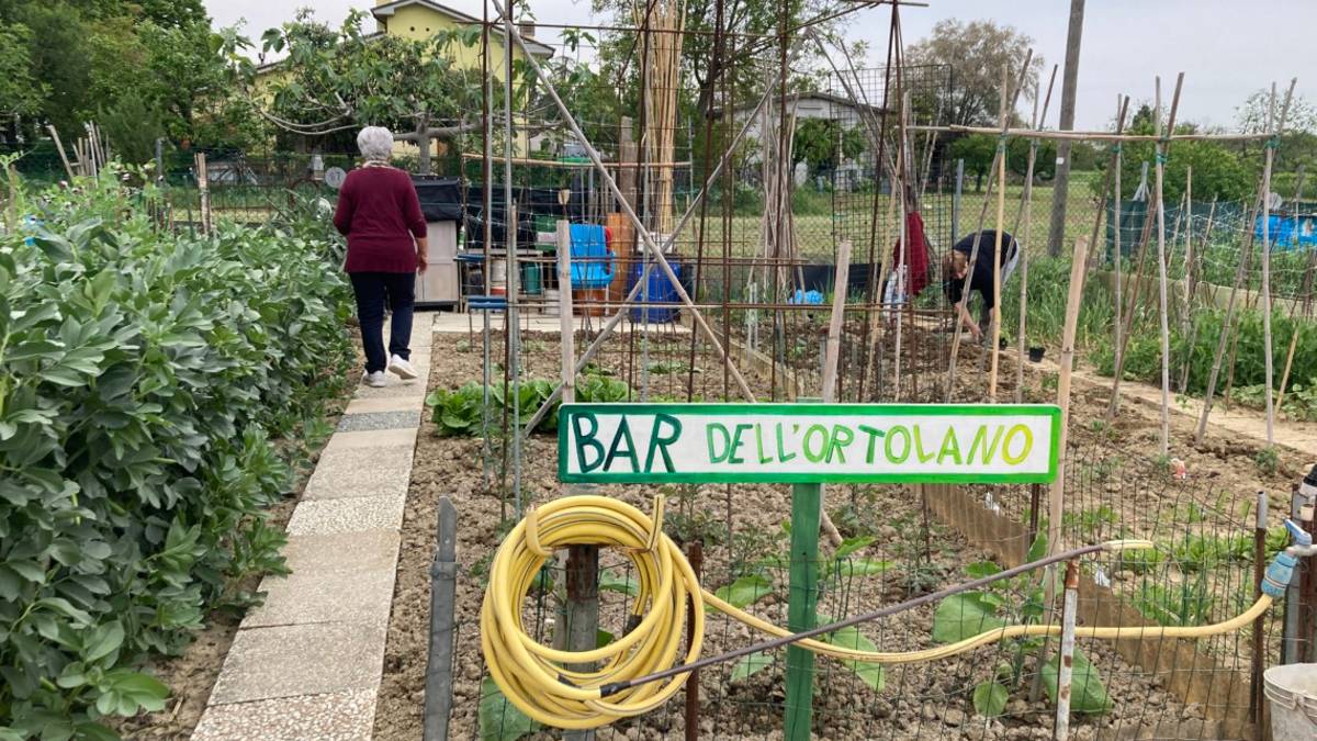 Cesena, Ortando in città: gli iscritti sono già 180