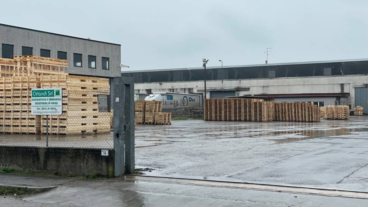 Gatteo, cade dall'alto e sbatte la testa: morto nella notte un operaio 44enne
