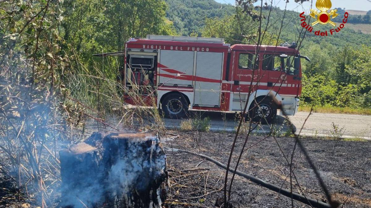 Incendio nel bosco a Montemaggiore di Predappio
