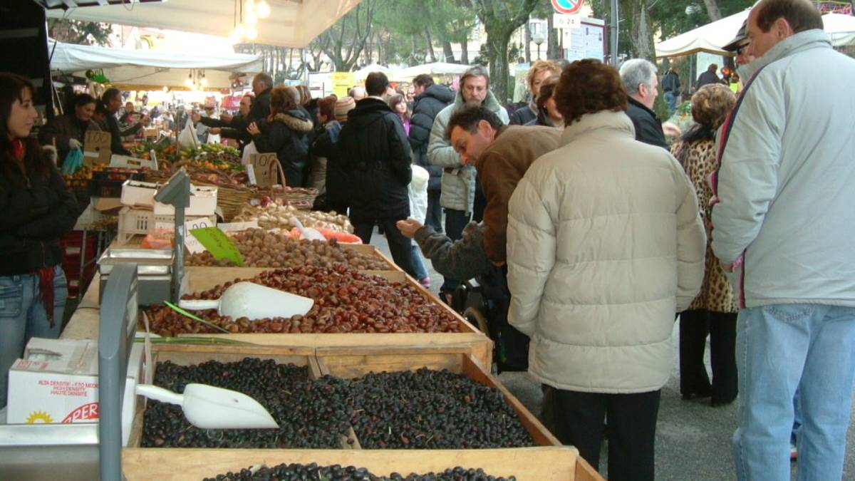 Coriano, torna la fiera dell'oliva: il programma