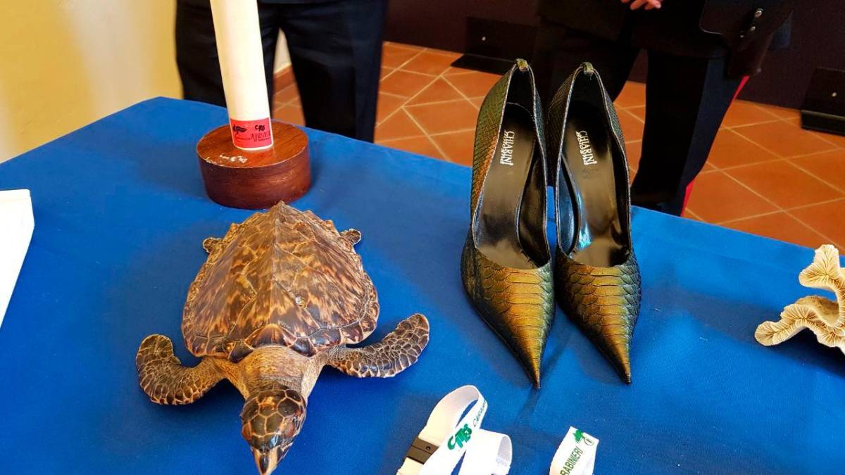 Emilia-Romagna, il bilancio dei Carabinieri Forestali: 665 persone denunciate in un anno