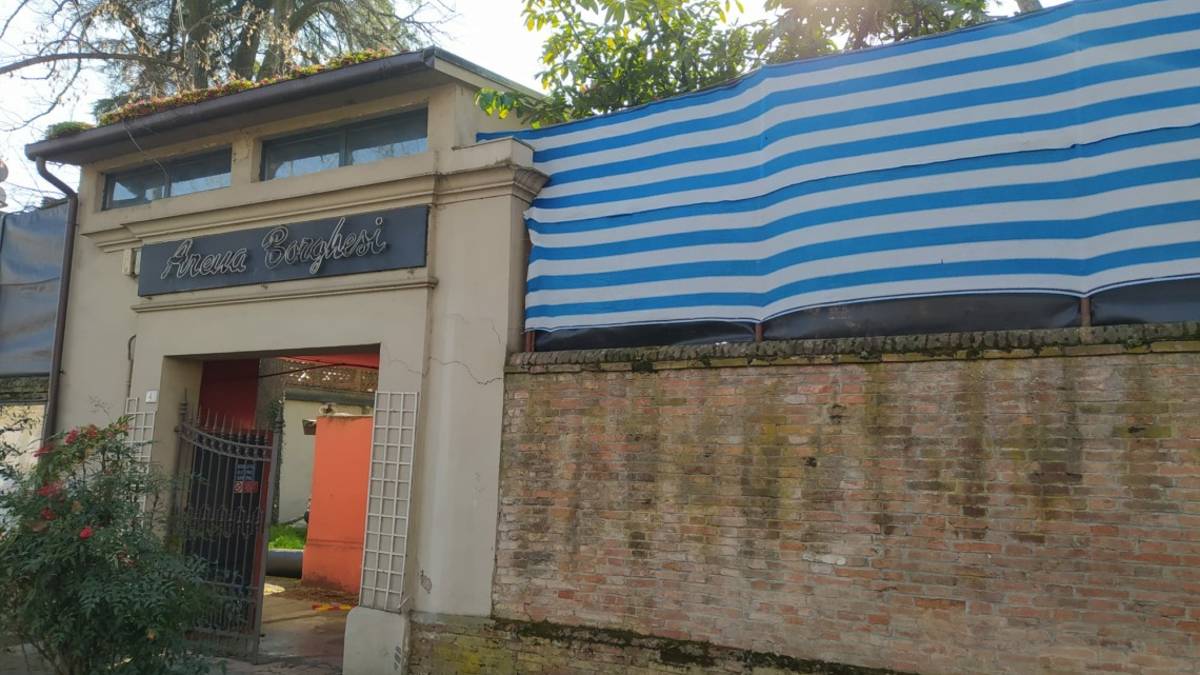 Faenza, Arena Borghesi: addio all'albero monumentale