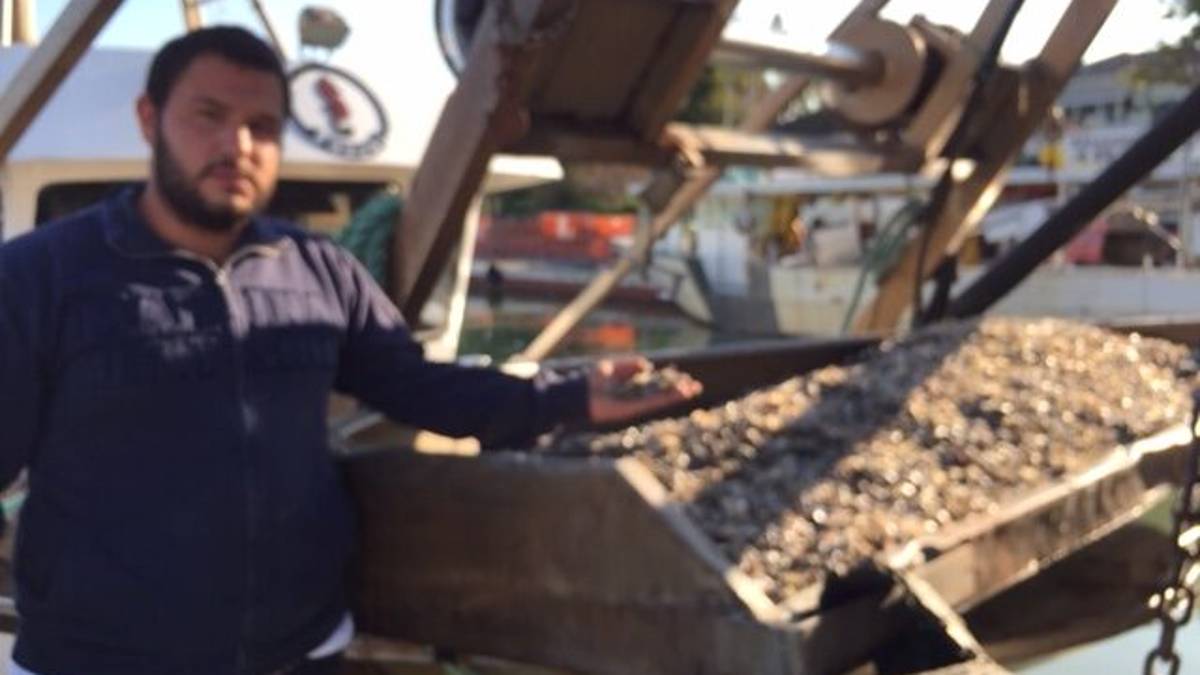 Moria di vongole a Cesenatico, contatti con la Regione