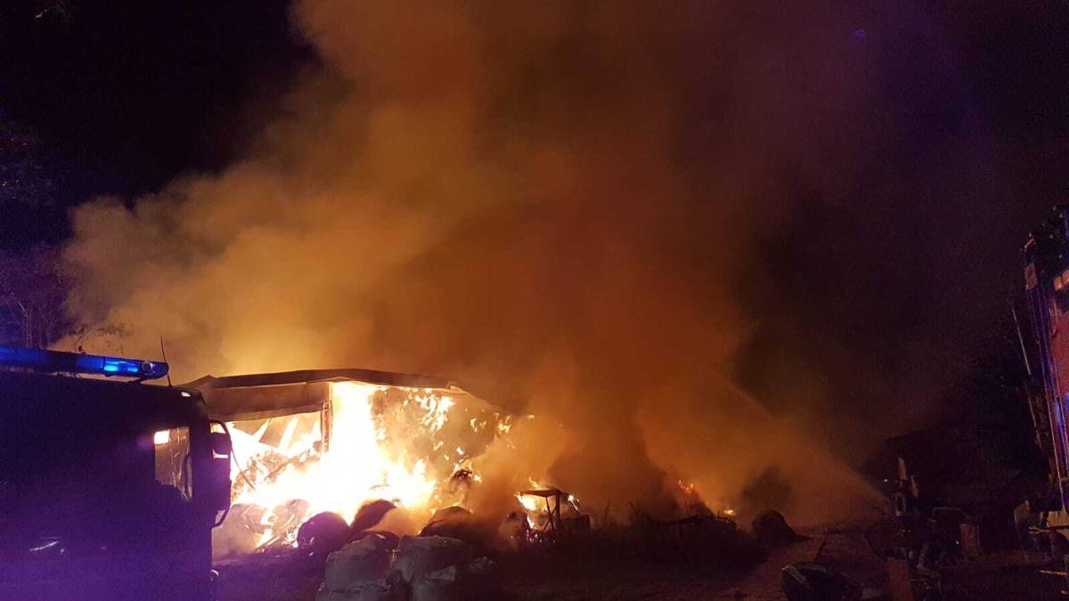 Fulmine, incendio a Rimini: devasta fienile, salve le mucche VIDEO