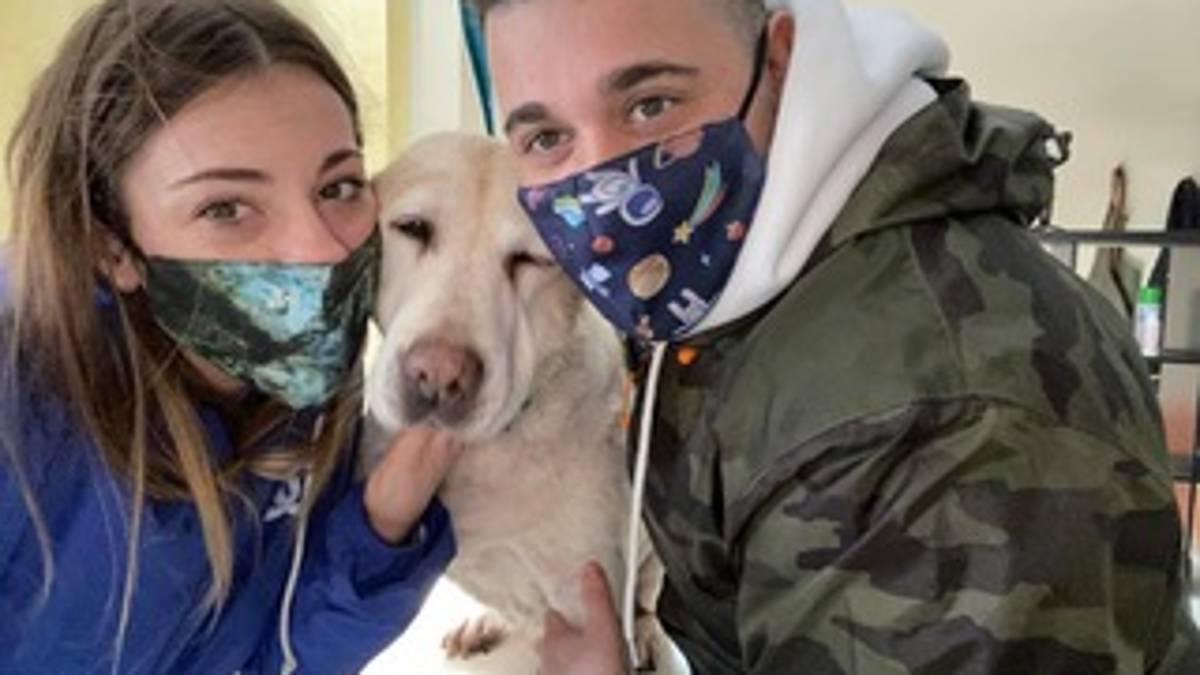 Inaugura Parrucchieri canini, una spa per gli amici a 4 zampe