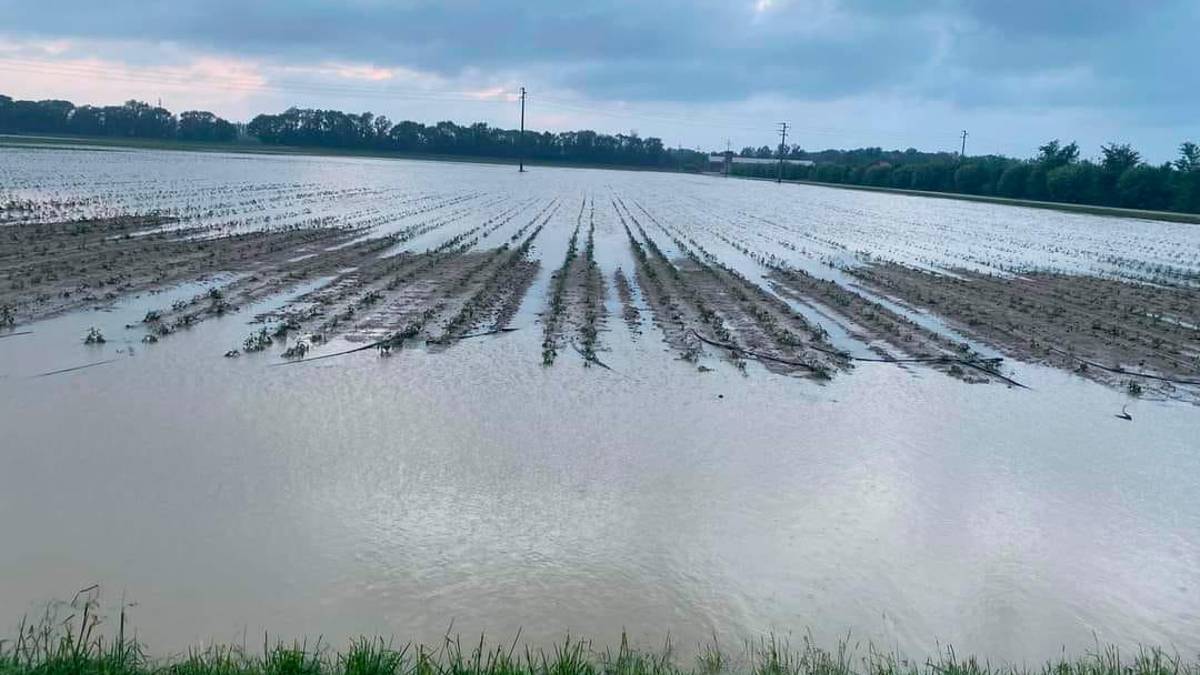 Un campo allagato dall’alluvione
