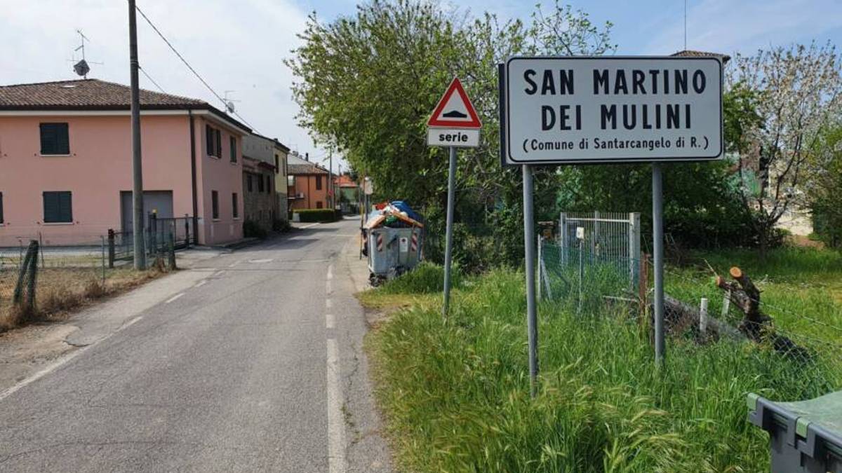 Rimini. Cade dall'albero e muore