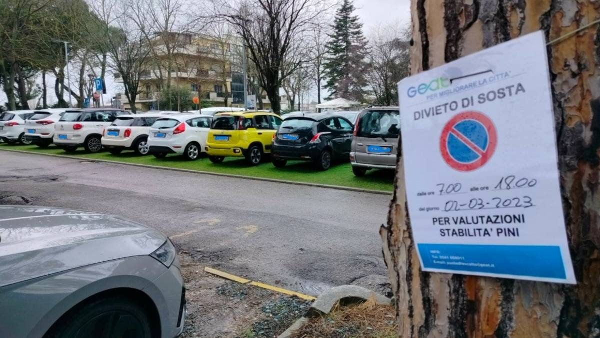 Riccione, piazzale Martiri delle Foibe: giovedì divieto di sosta per prove di trazione ai pini
