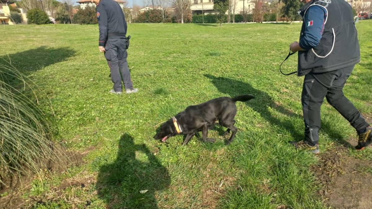 Cattolica, esche e bocconi avvelenati: ispezione nei parchi, ma occhio alle fake news