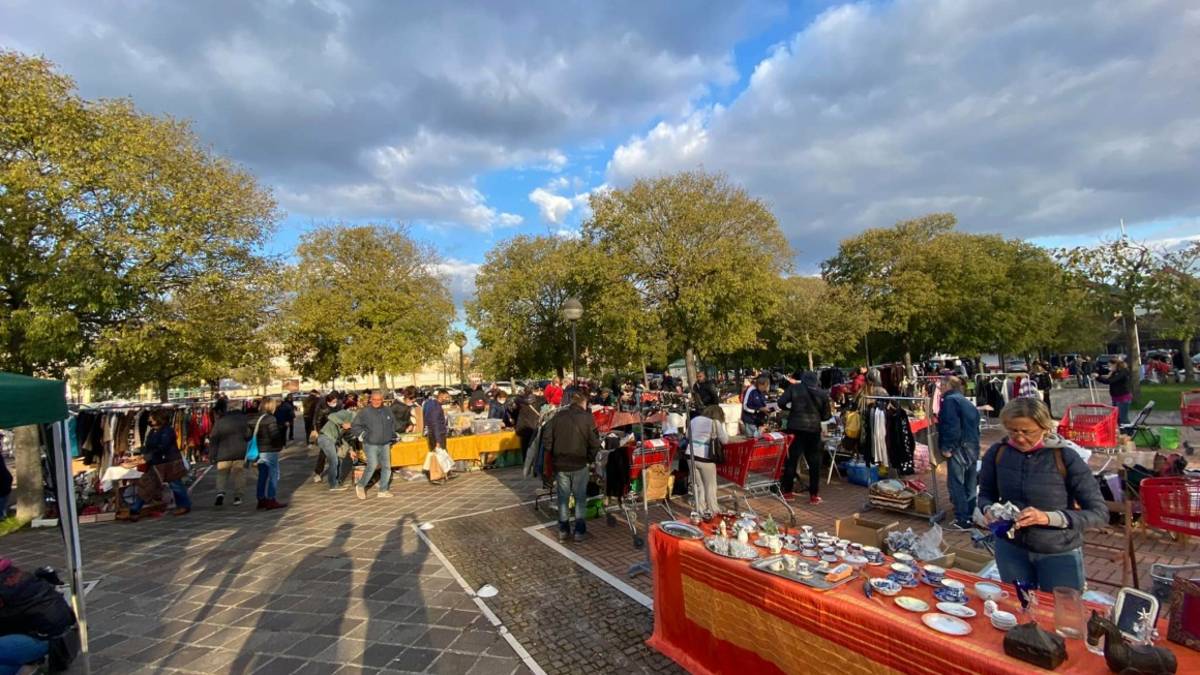 Ravenna, domenica alla fiera del riuso si ricorda Lola, il cocker motociclista