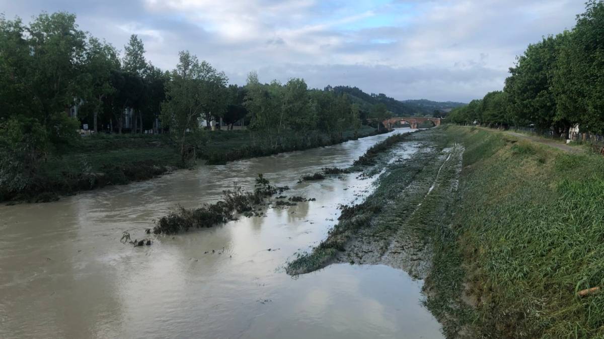 Cesena, il livello del Savio ora fa respirare, tanta gente subito al lavoro per ripartire VIDEO