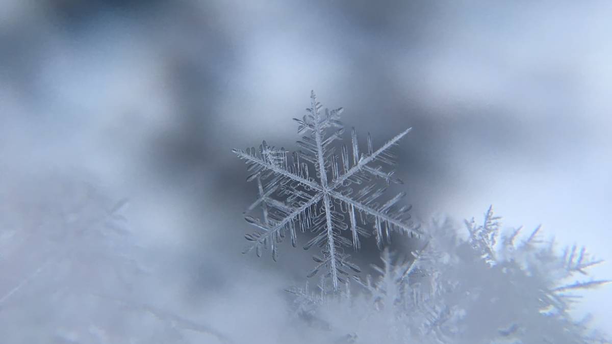 Ravenna, è partito il piano neve