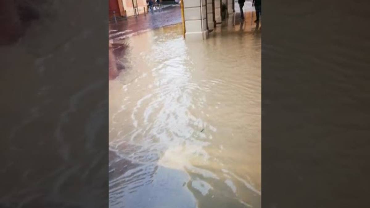 Il centro di Medicina questa mattina / VIDEO