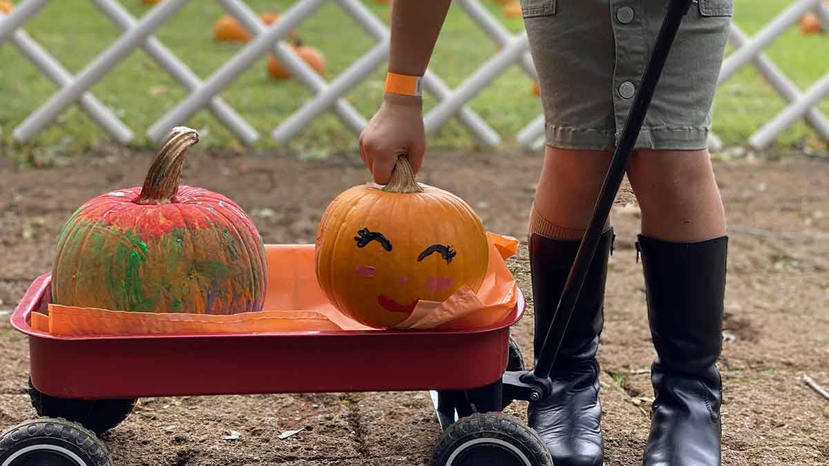 Cesena, domenica Halloween sbarca al quartiere Dismano
