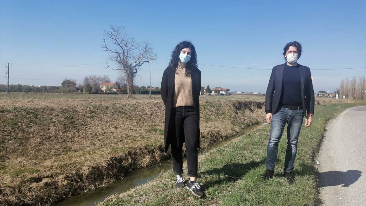 A Savignano nasce l'ufficio del verde pubblico