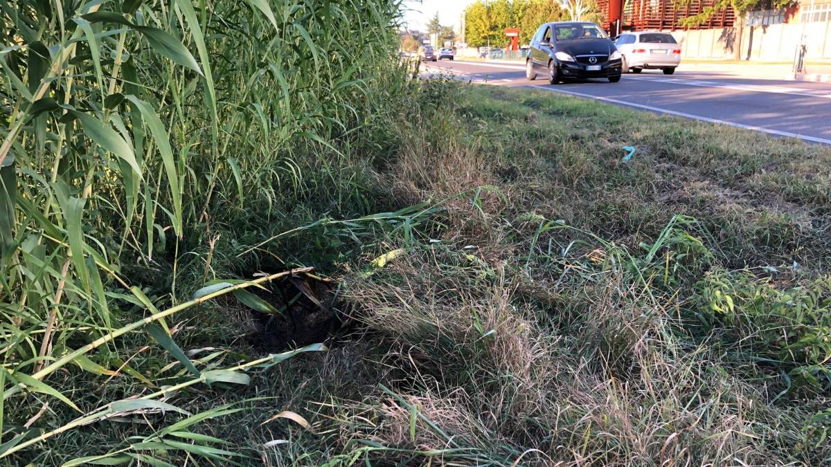 Scoperto cadavere in un fosso alle porte di Cesena
