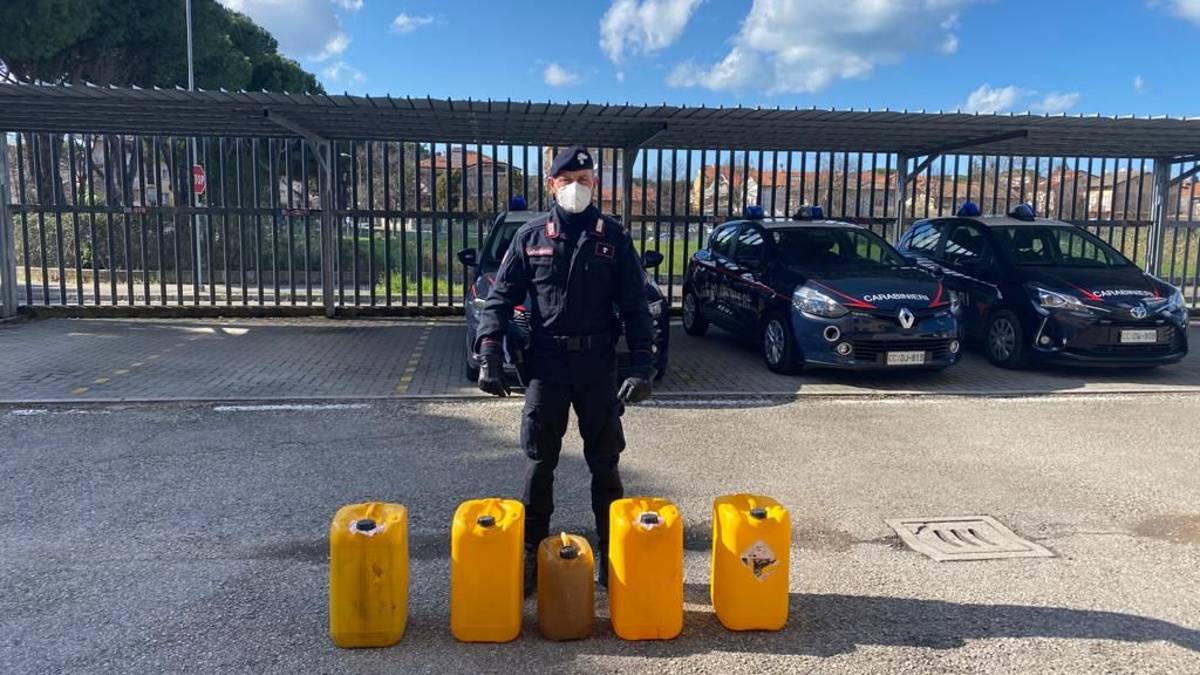 Cattolica, dipendente comunale denunciato per furto di benzina