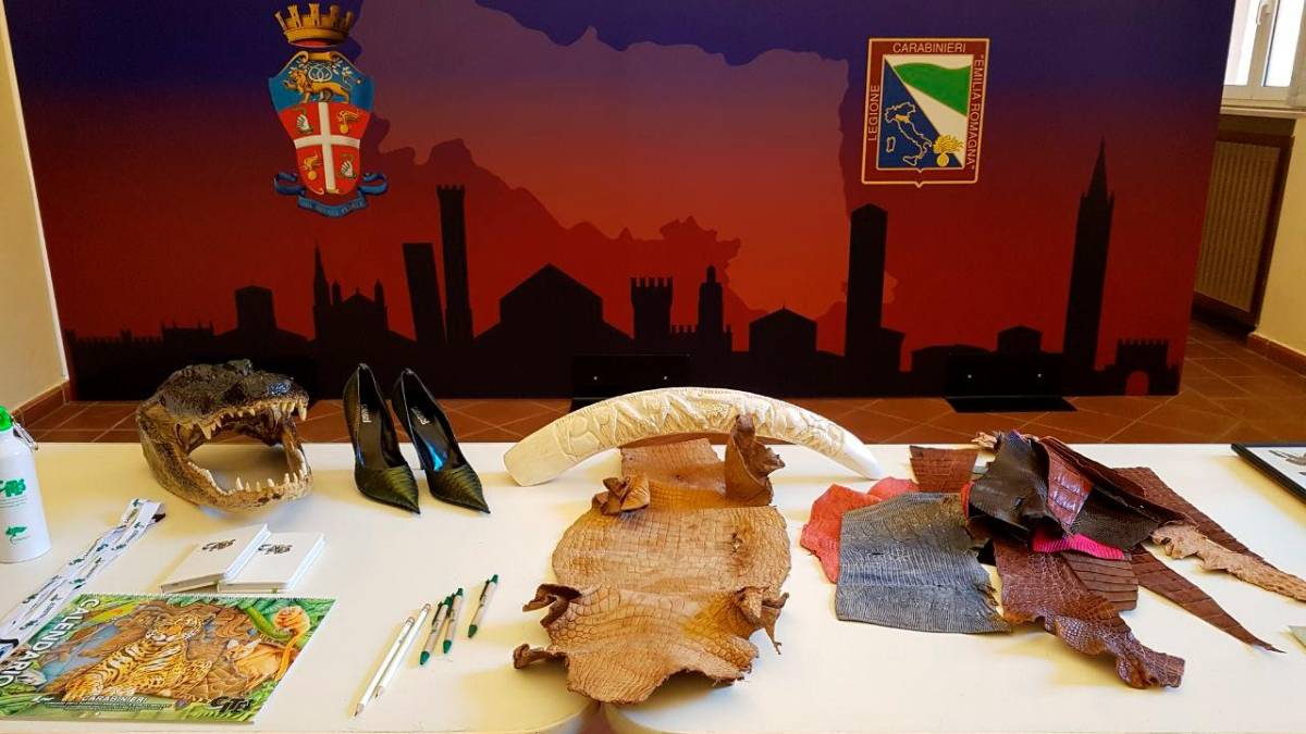 Emilia-Romagna, il bilancio dei Carabinieri Forestali: 665 persone denunciate in un anno