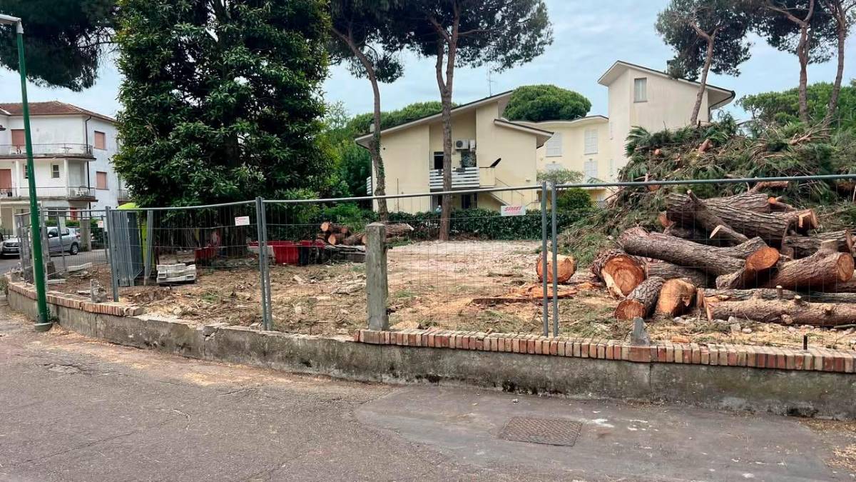 Cervia, abbattuti alberi per far posto a un condominio