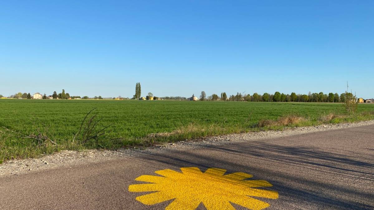 Corsini: Pnrr, no al taglio dei fondi per le ciclovie. Solo Ravenna ha fatto un bando da 6 milioni