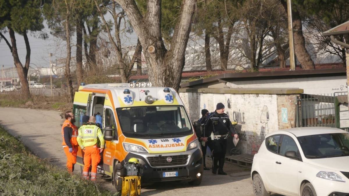 Ravenna, pitbull fugge dalla gabbia e aggredisce un bambino