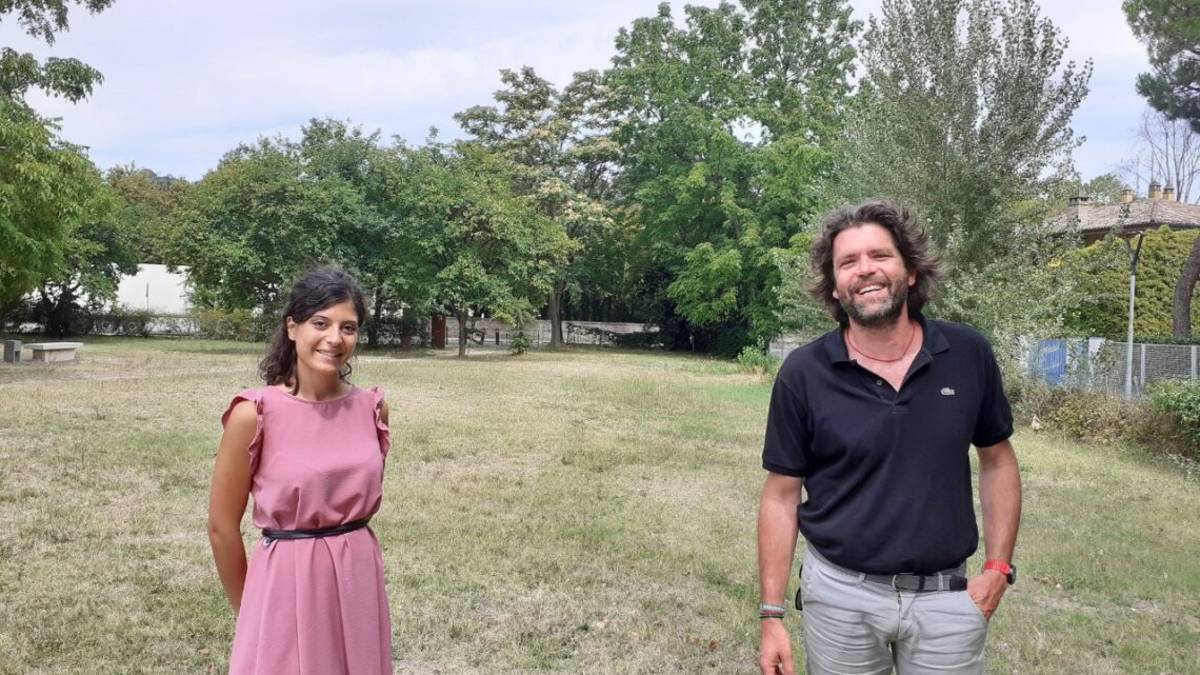 Savignano, 136mila euro di contributi per la forestazione urbana
