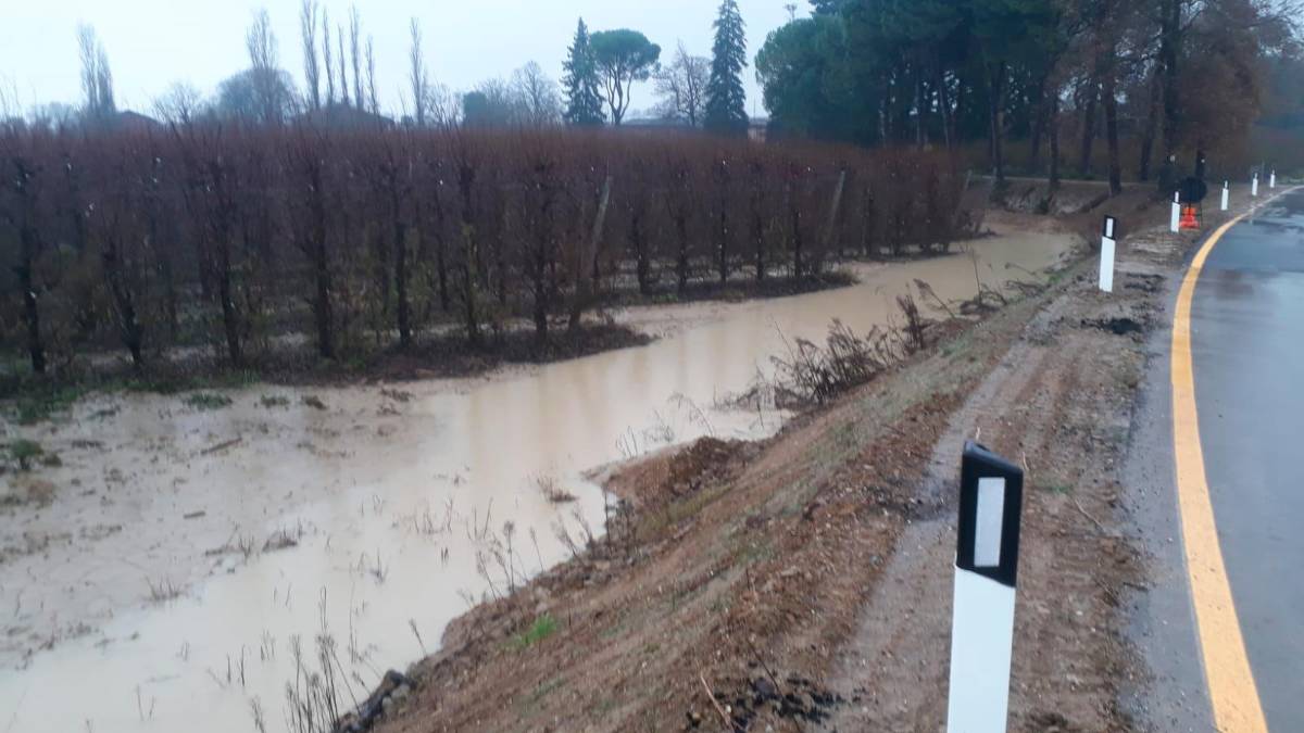 Campi allagati nel Faentino
