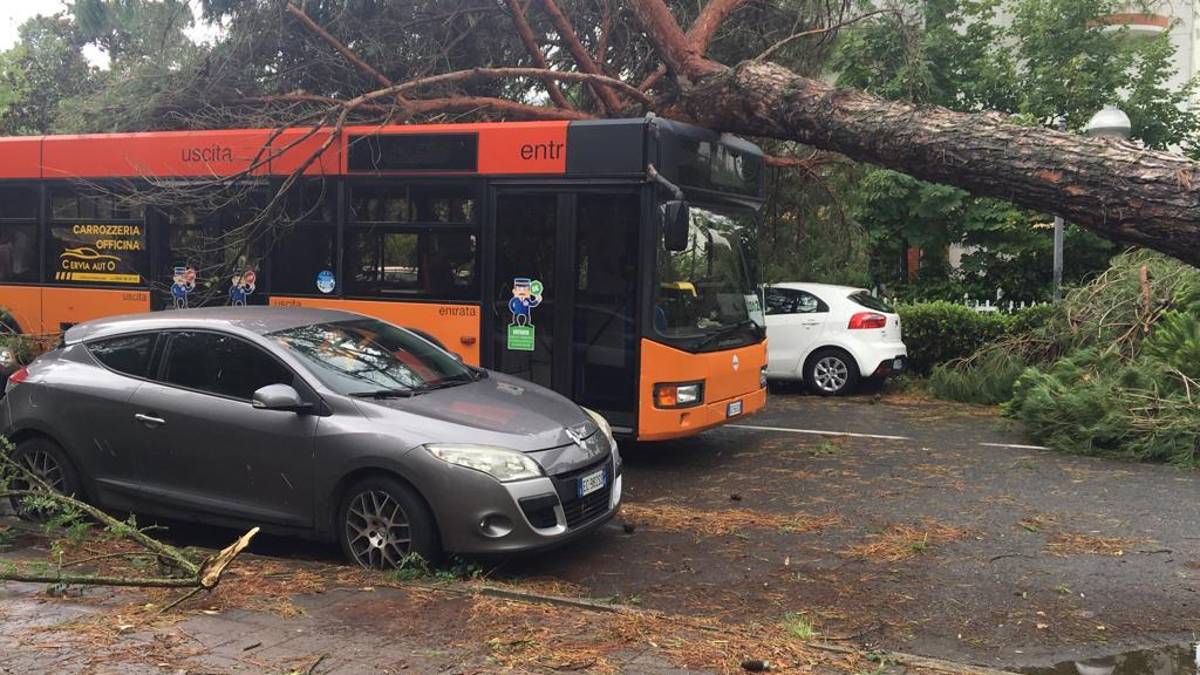 Milano Marittima, pini cadono su auto e autobus