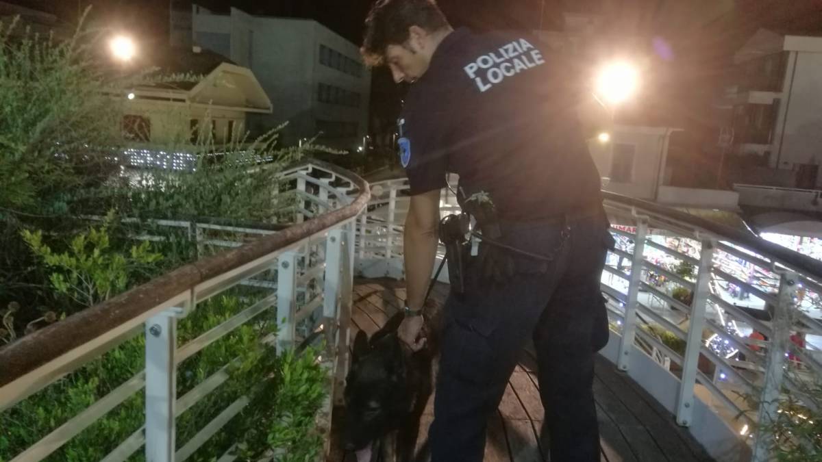 Riccione. Chiedono le offerte per associazioni inesistenti a ragazzini e anziani, multati dalla polizia locale