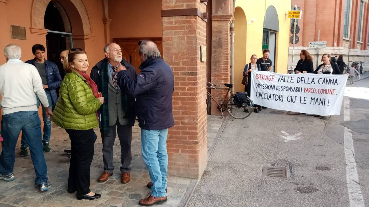 Ravenna, nuove polemiche politiche sulla moria di uccelli nella valle