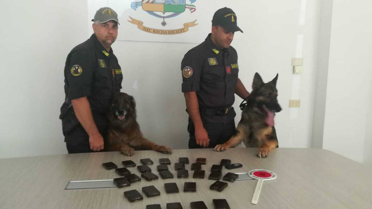 Droga da Napoli a Rimini, coppia fermata con 3 kg di hashish