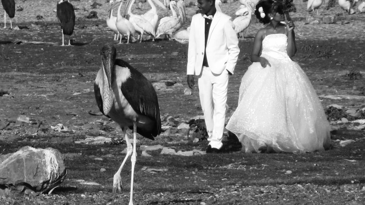 Fotografia: Corzani in bianco e nero a Bagno di Romagna