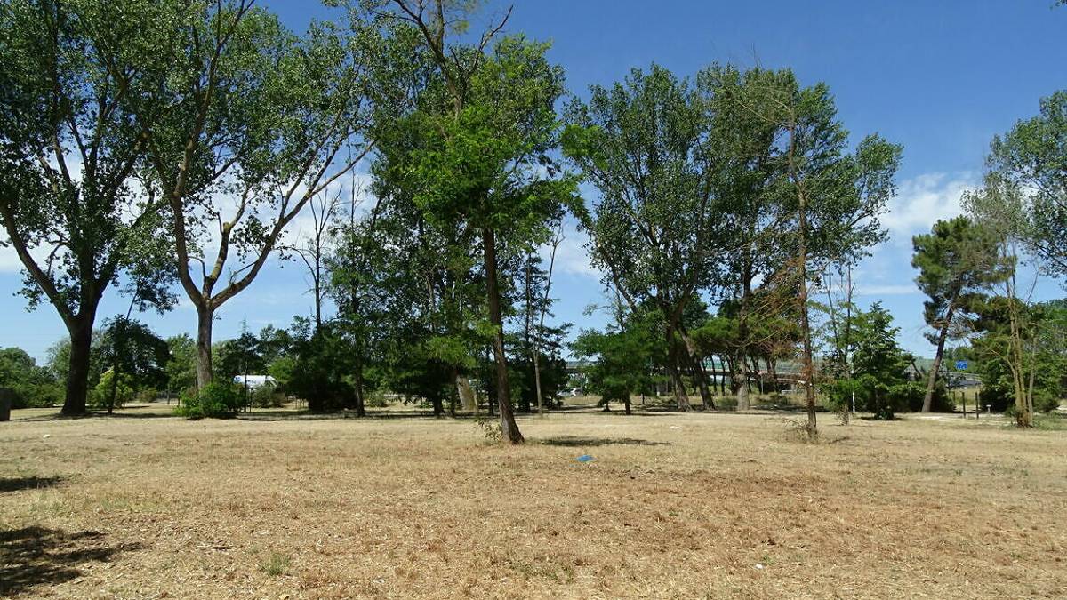 Al Parco di Ponente di Cesenatico 680 nuove piantumazioni