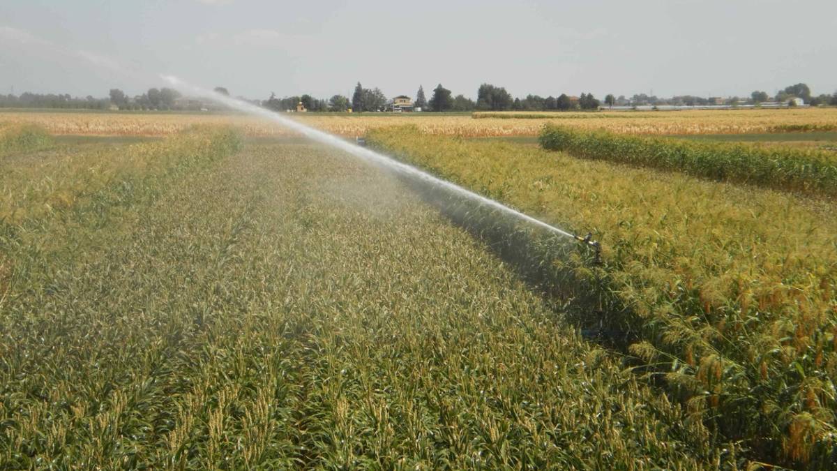 Regione: opere idrauliche e irrigue, 15 milioni per la sicurezza