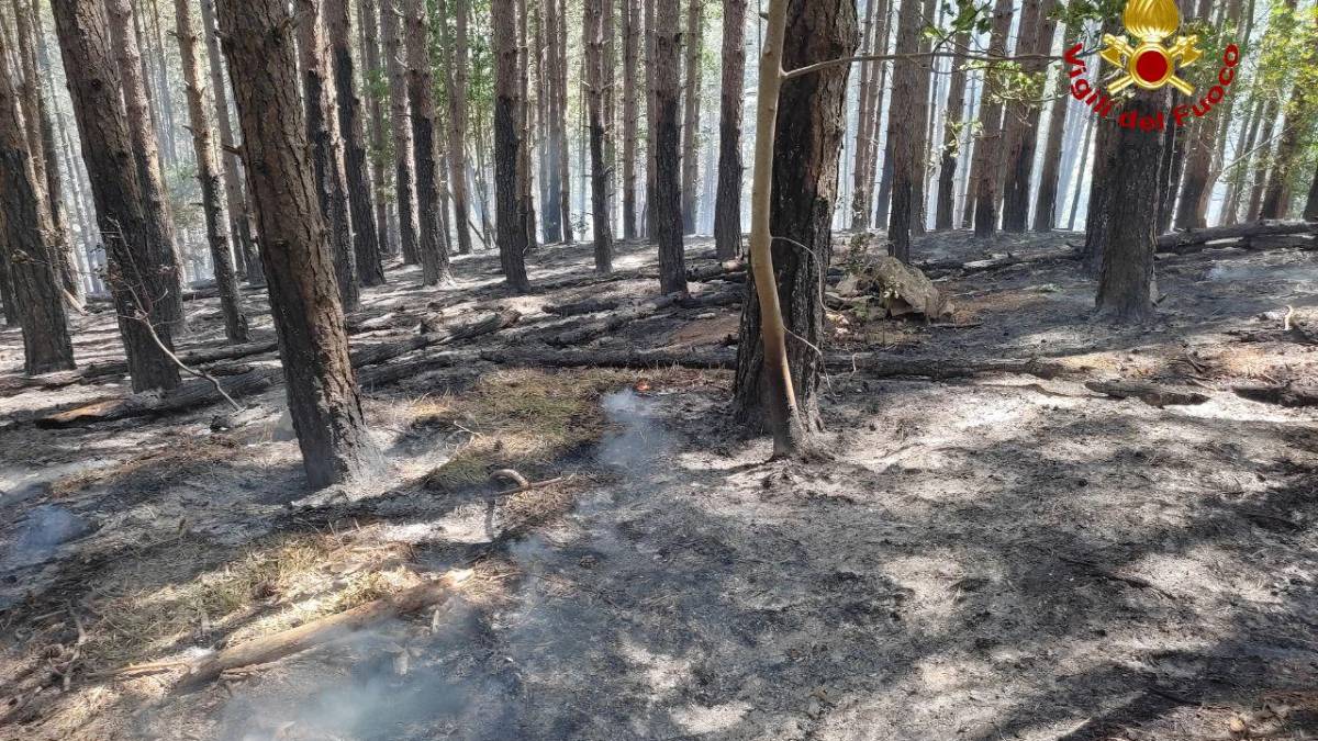 Vasto incendio nei boschi di San Cassiano: ancora in corso le operazioni di spegnimento via terra e via aerea