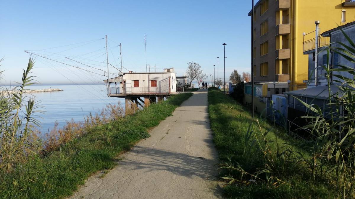 Rimini. Controlli con i cani antidroga nei capanni da pesca