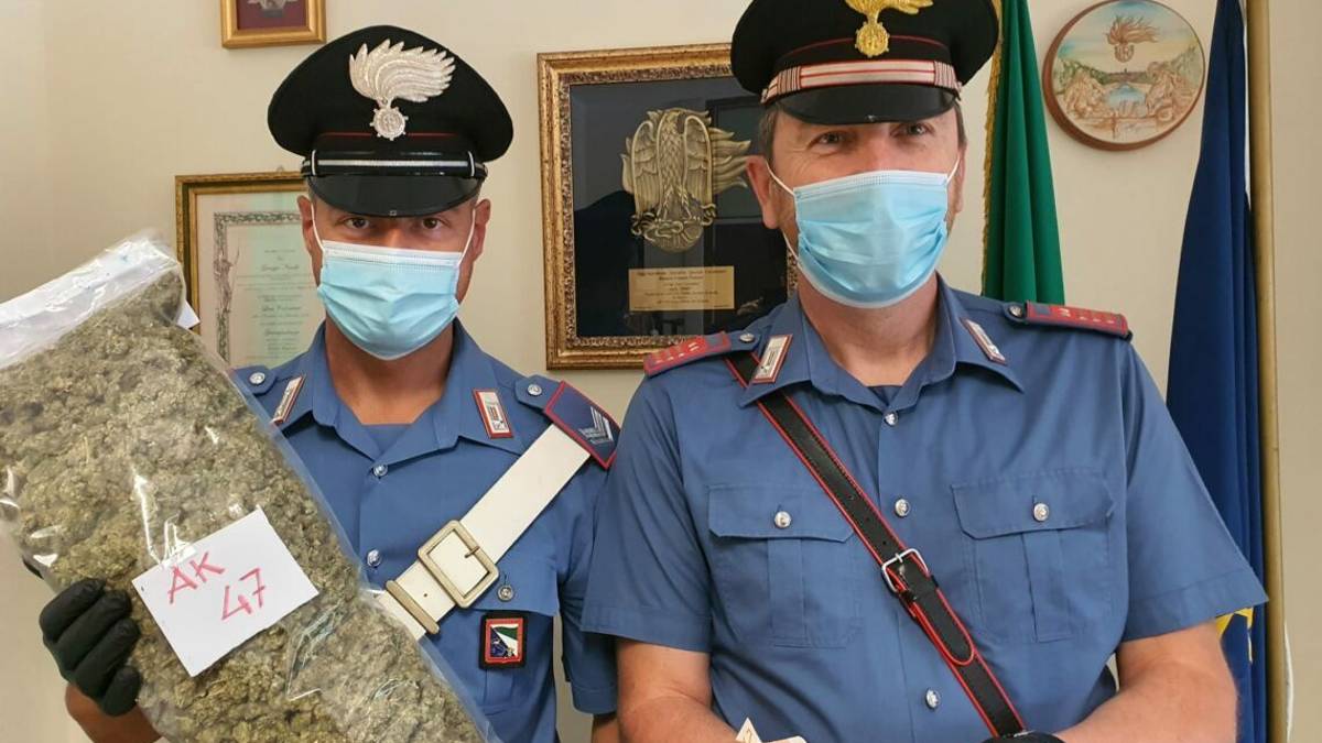 Riccione, arrestato con 1,3 chili di droga “Ak-47” in auto