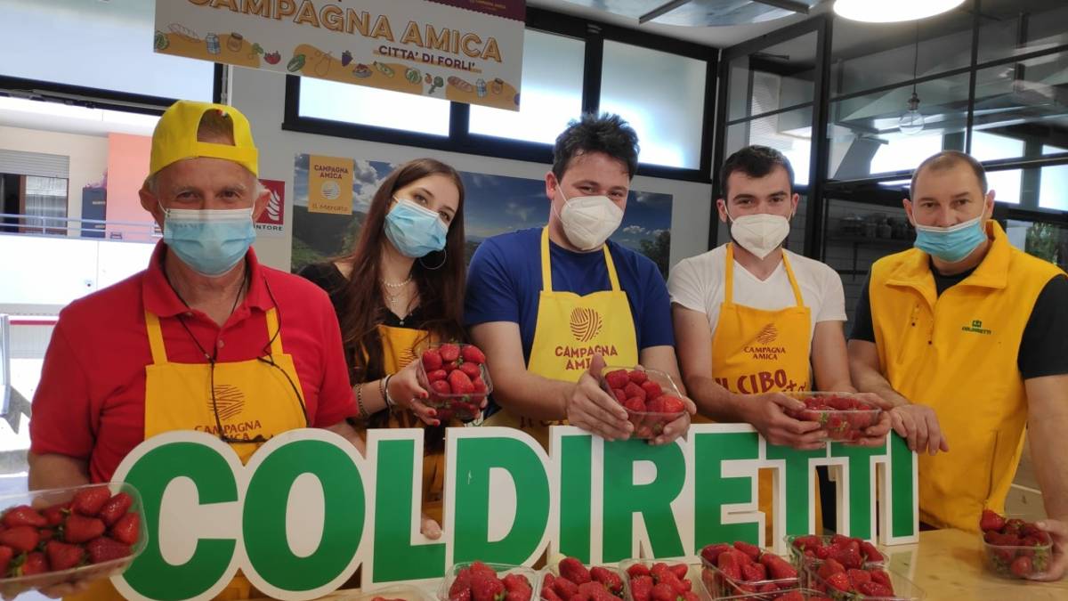 Forlì, la Coldiretti: Contro i rincari, viva la spesa sostenibile di Campagna Amica