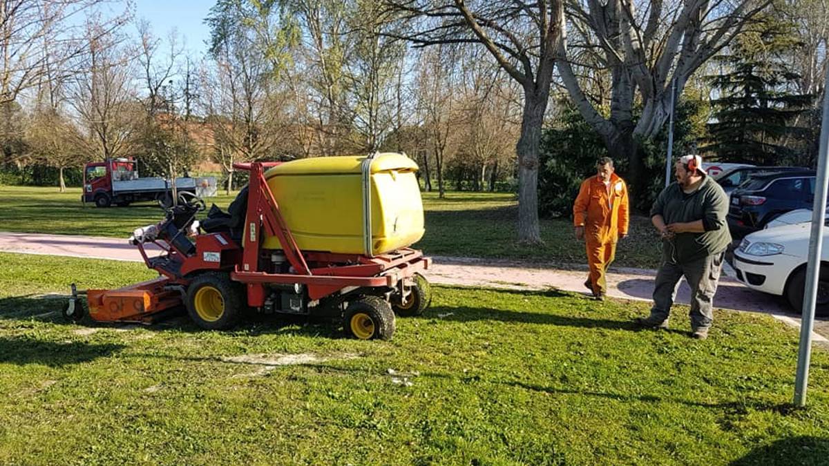 Cesena, bando da 1,3 milioni per la cura del verde