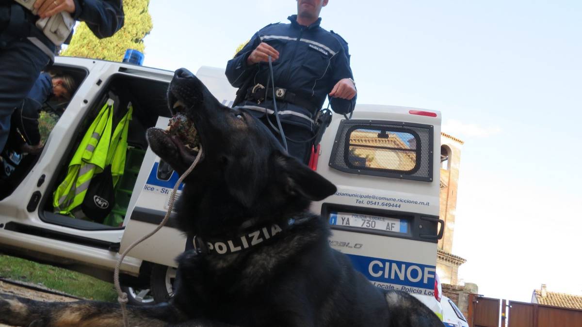 Faenza, blitz antidroga a scuola scuola. Denunce e sequestri