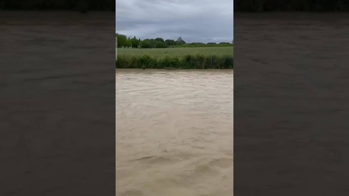 Maltempo in Romagna, sott'acqua oltre 5mila aziende agricole VIDEO