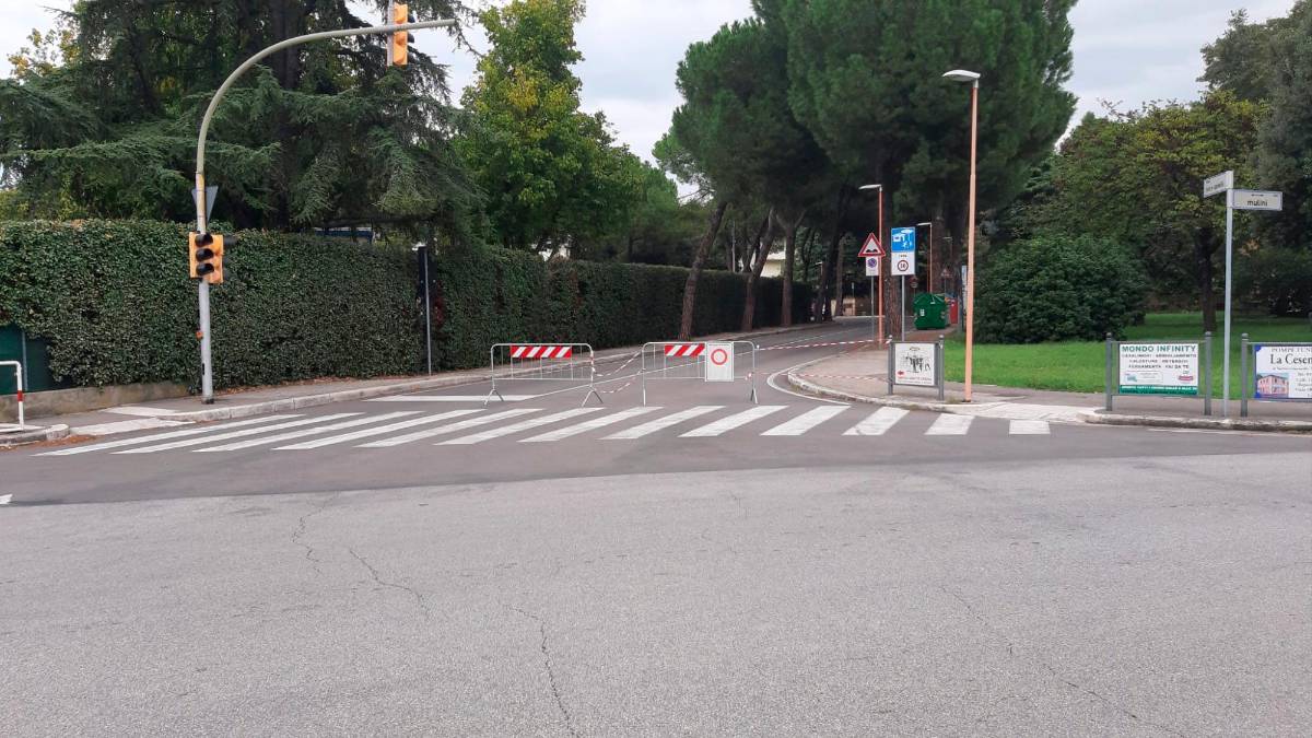 Cesena, era percolosamente inclinato: abbatuto un altro pino in via Fornaci